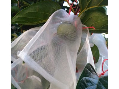 安徽客户订购果树防虫网案例