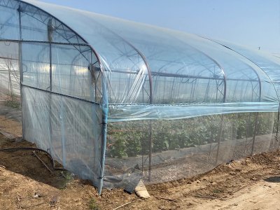 大棚防虫网案例