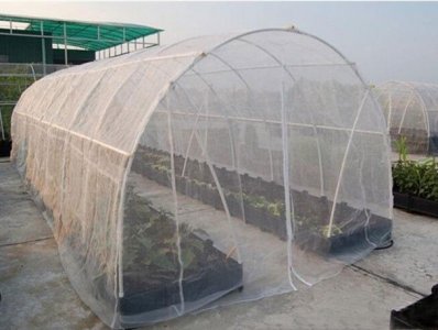 80目蔬菜防虫网