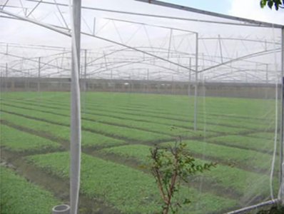 100目蔬菜防虫网