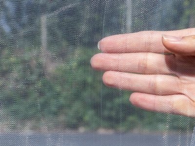 80目蔬菜防虫网