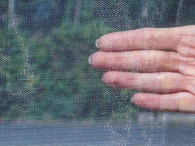 60目加厚蔬菜防虫网