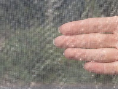 100目果树防虫网